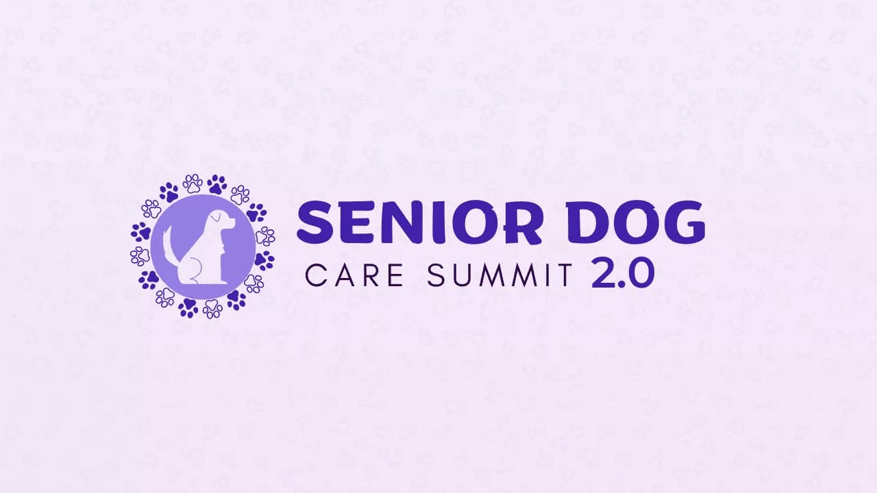 Senior Dog Care Summit