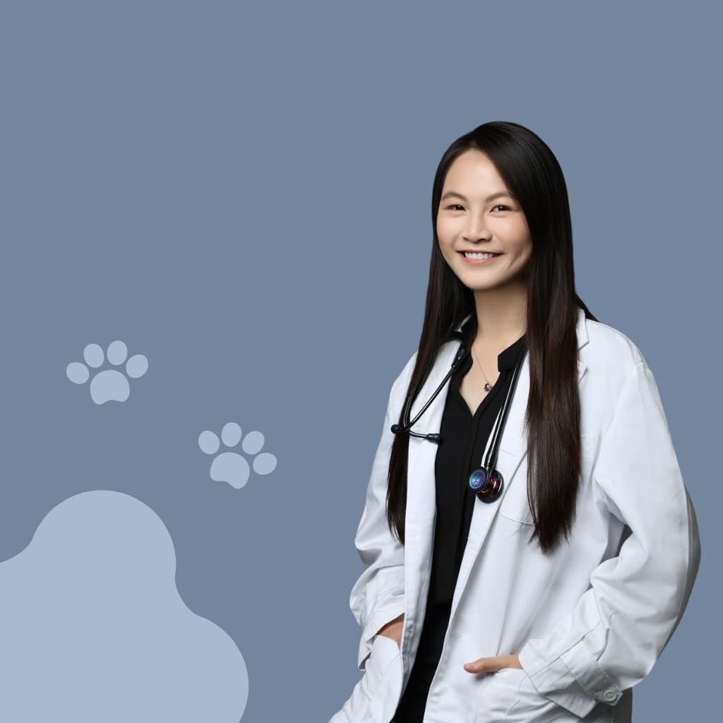 How Are Your Cat's Kidneys Doing?