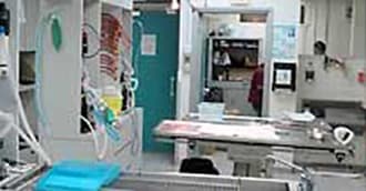 香港愛護動物協會(灣仔總部/香港中心) SPCA (HK) Headquarters 相片 2