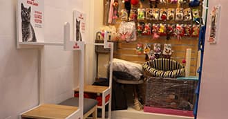 香港愛護動物協會(灣仔總部/香港中心) SPCA (HK) Headquarters 相片 3