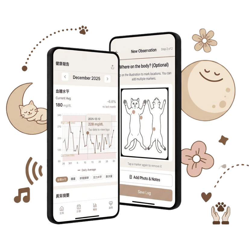 App home screen preview