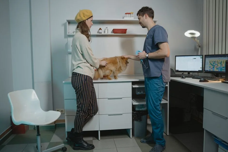 We handle the day's paperwork. You keep your eyes on the patient.