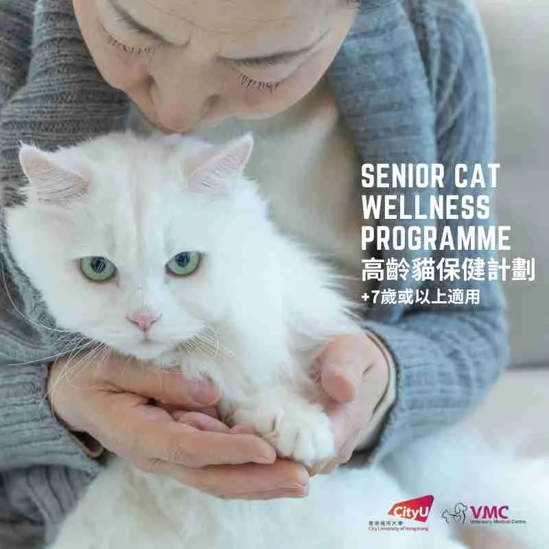 CityU VMC Senior Cats & Dogs Wellness Programme